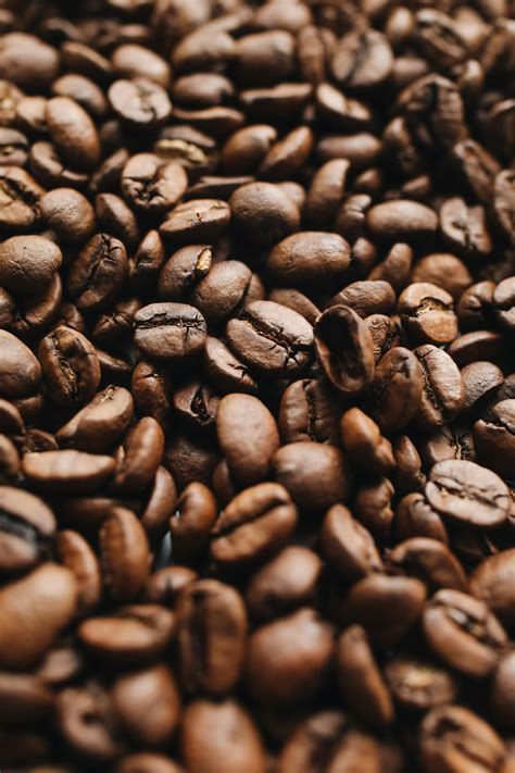 Coffee Beans Photos Download The Best Free Coffee Beans Stock Photos