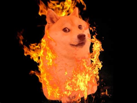Doge In Fire Meme Template House
