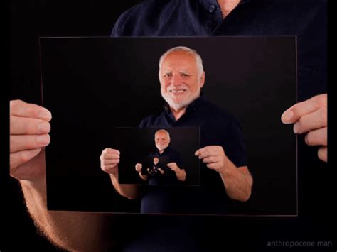 Hide The Pain Harold Drosted Album On Imgur