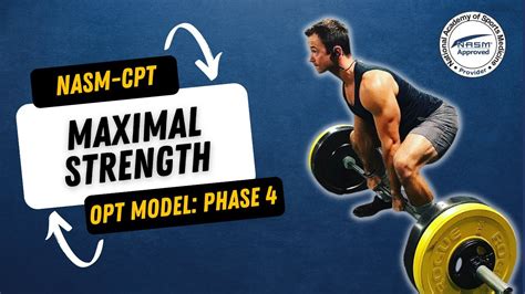 Nasm Opt Model Phase 4 Nasm Cpt Exam Study Prep 2023 Updated Youtube