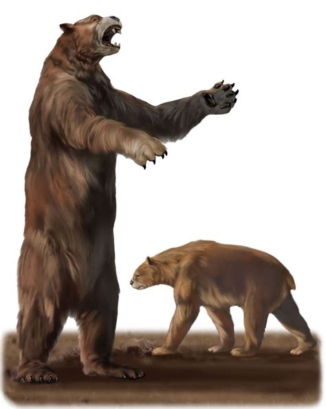 Arctodus Simus Short Faced Bear Short Faced Bear Mammals Prehistoric