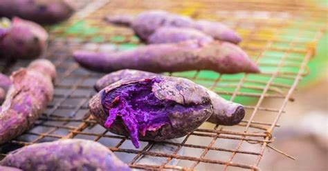 How To Grow Ube At Home Almostnordic