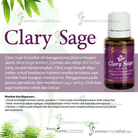 Interruptions, like living on the main road, or the sound of nocturnal pets is all that is needed for an individual that discovers going to sleep challenging to make the act of sleeping nearly impossible. Clary Sage | Minyak esensial, Herbal, Sage