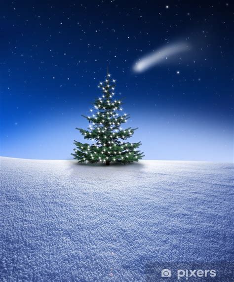 Fototapete Weihnachtsbaum Im Schnee Pixersde