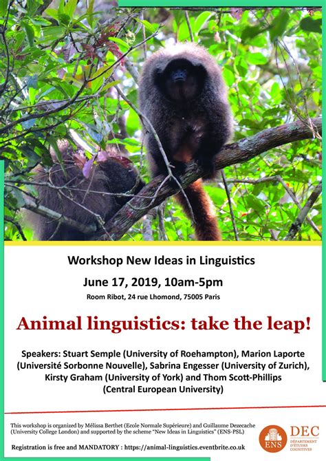 (Colloque 17 juin) Animal Linguistics: New Ideas in Linguistics