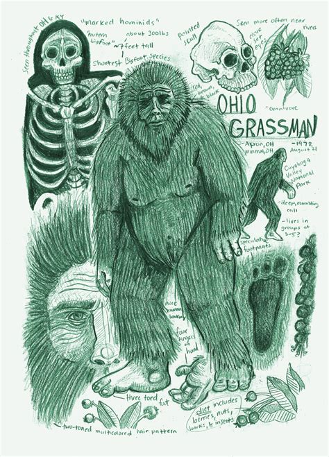 Ohio Grassman Anatomy Study Page Mythical Creatures Art Mythological