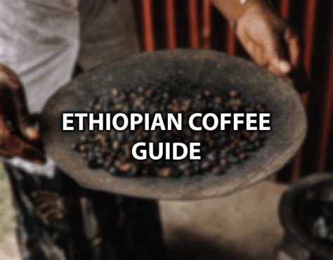 Best Ethiopian Coffee Top 5 Tasty Ethiopian Coffee Beans
