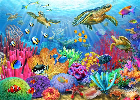 Coral Reef Sea Turtle