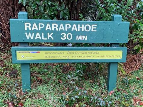 Raparapahoe Falls Te Puke Travel