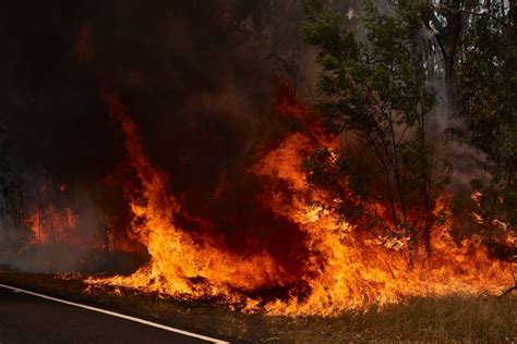 Heartbreaking Photos Of Australias Deadly Bush Fires As Whole Towns