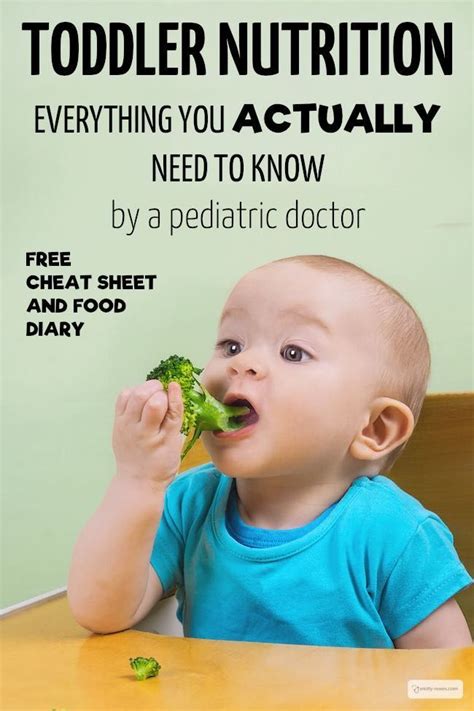 Toddler Nutrition Everything You Actually Need To Know Written By A