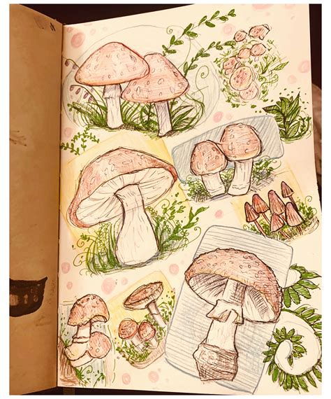 Mushroom Page 🍄 Art Sketchbook Doodles Journal Inspiration
