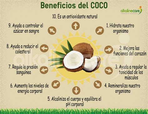 Beneficios Del Coco Beneficios Del Coco Antioxidantes Naturales