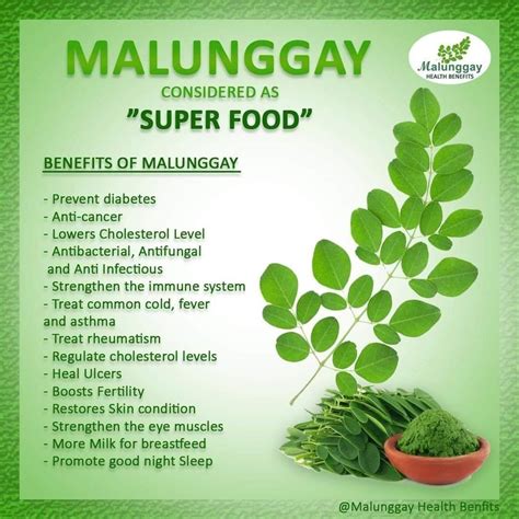 health is wealth supreme malunggay by twinshoppe posts facebook