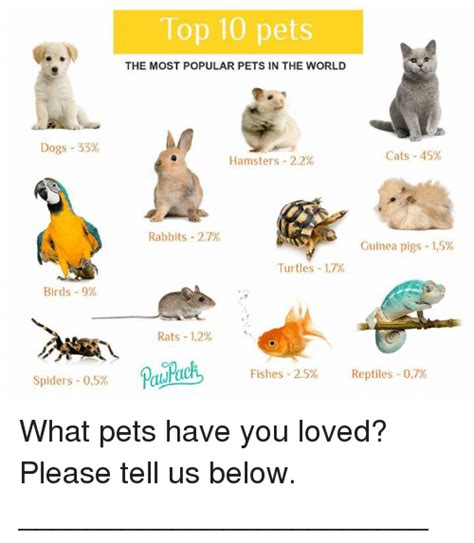 Search hamsters Memes on me.me