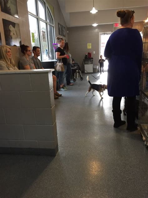 Areas orange county animal shelter serves. Clay County Humane Society in Orange Park | Clay County ...