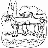 Plow Horse Horsedrawn Coloring Colouring Farm Printable Colori sketch template