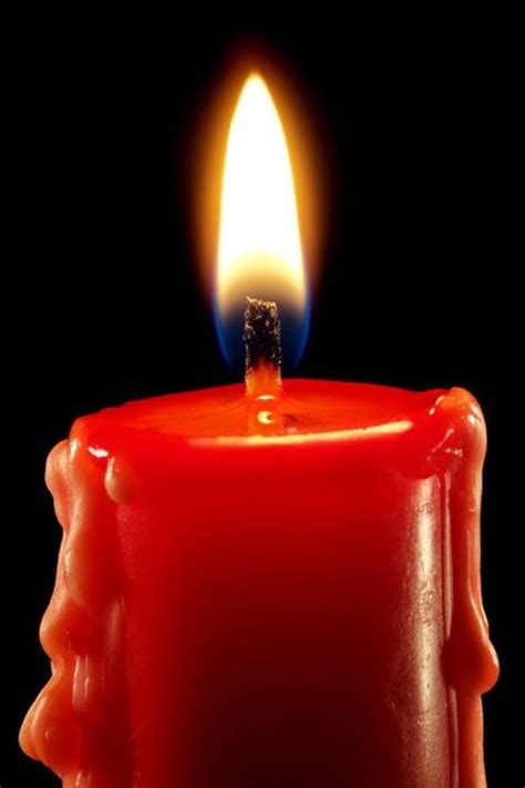 Perhaps you forgot to blow them out after a nice candle lit dinner or maybe the candle just dripped a lot. 40 Macro Photography Ideas At Home