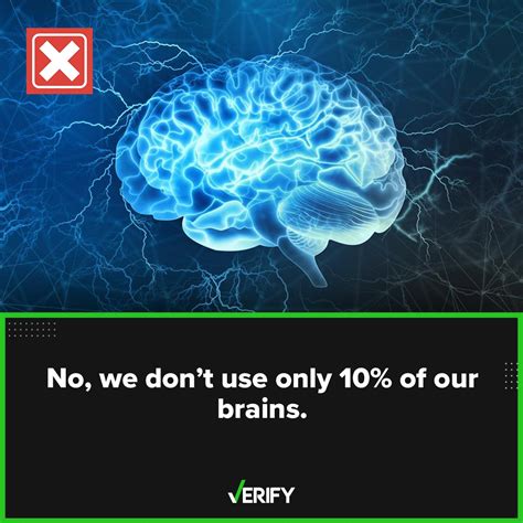 Verify On Twitter The Belief That Humans Use Only 10 Of Their Brains
