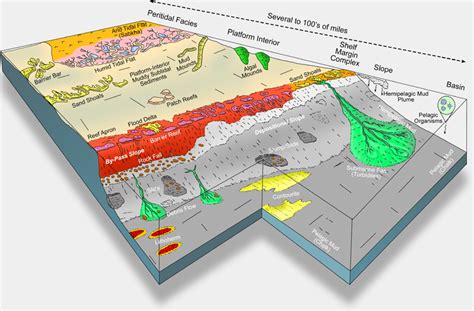 Introduction To Carbonate Facies Depositional Environments And