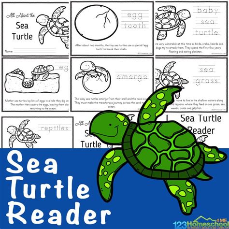 Free Sea Turtle For Kids Printable Reader
