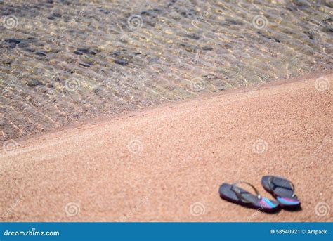 Pair Of Flip Flops At Shoreline Of Sandy Beach Stock Image Image Of Casual Beach 58540921