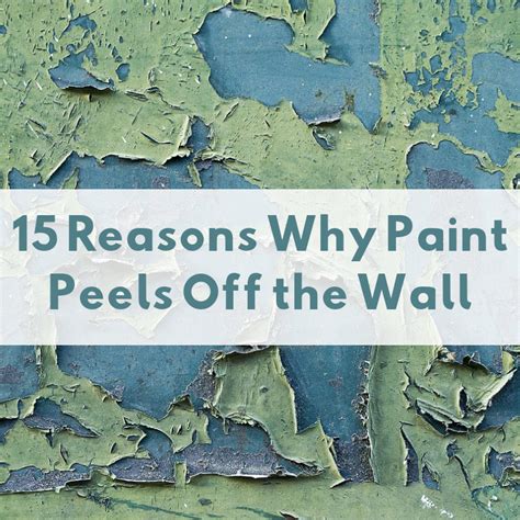 This would be a good time to go to your favourite orange or blue store to get some primer. 15 Causes of Peeling Paint on Walls and Ceilings | Cracked ...