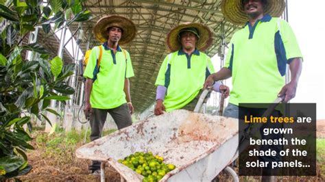 Waktu solat tanjung malim 2019. Sub"lime" solar installation in Tanjung Malim - YouTube
