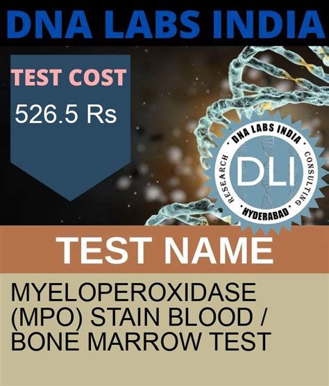 What Is Myeloperoxidase Mpo Stain Blood Bone Marrow Test
