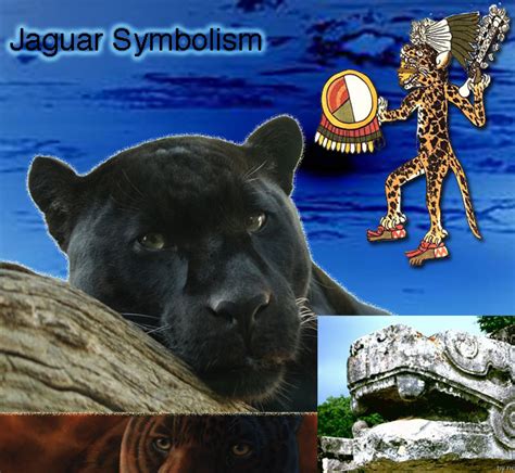 Animal Symbolism The Jaguar
