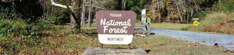 Mortimer Campground National Forests In North Carolina