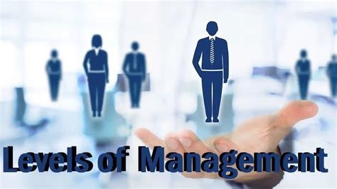 What Are The Different Levels Of Management In An Organization