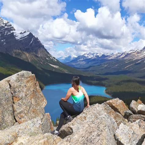 Qué Ver Y Hacer En Peyto Lake Track Incluido 👌 Rocosas Canadienses