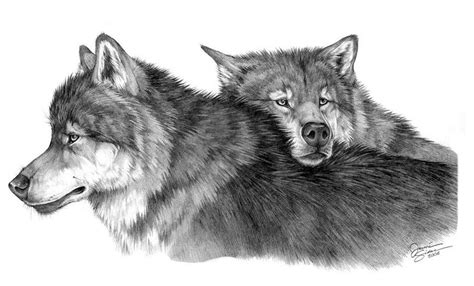 Eternal Devotion By Emryswolf On Deviantart Cool Wolf Drawings Wolf