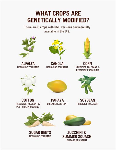 Gmo Crops Chart Rawfoodlife Llc