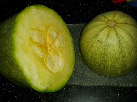 Homegrown Under Ripe Spaghetti Squash For Dinner Yum Eco Thrifty