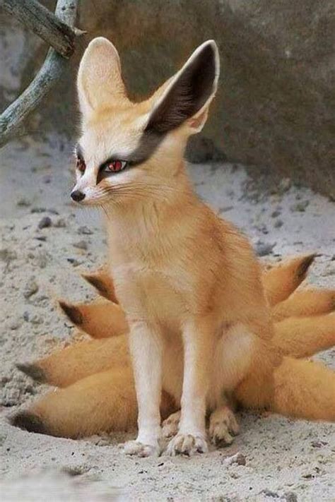 Nine Tailed Fox Naruto Awsome Pinterest I Want
