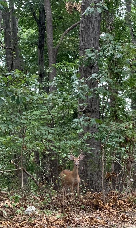 😊🎉😊 : r/SBU