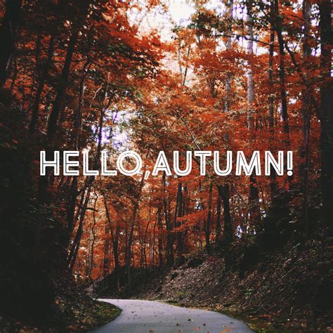 Hello Autumn Wallpapers High Quality Download Free