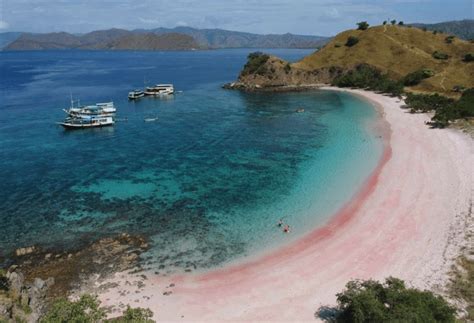 5 Pesona Wisata Di Pink Beach Lombok Bimata