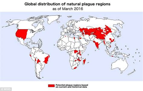 科普：鼠疫病原体究竟是在何处、以何种方式存活？ 科普新闻 科普新闻网