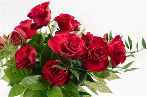 Dozen Red Roses Bouquet Your Flower Story