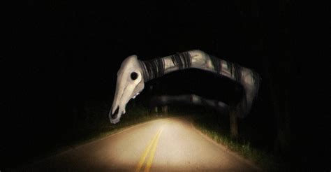 Long Horse Creepyimages