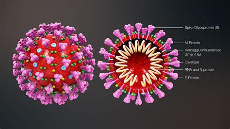“news About The New Coronavirus” • Kalender • Freie Universität Berlin