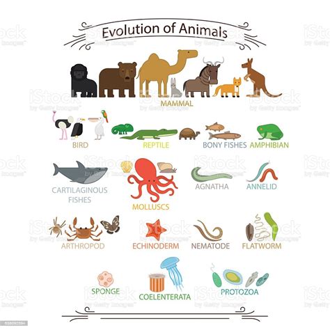 The surprising evolution of dinosaur drawings. Biological Evolution Animals stock vector art 638092594 | iStock
