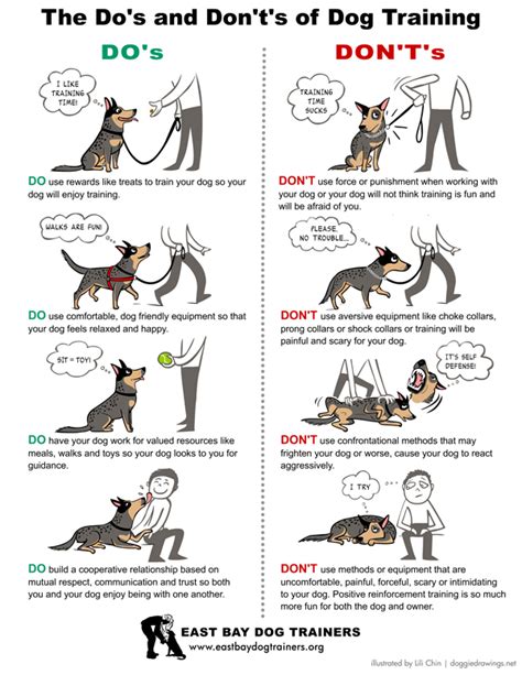 The Dos And Donts Of Dog Training Cara Welfare Philippines