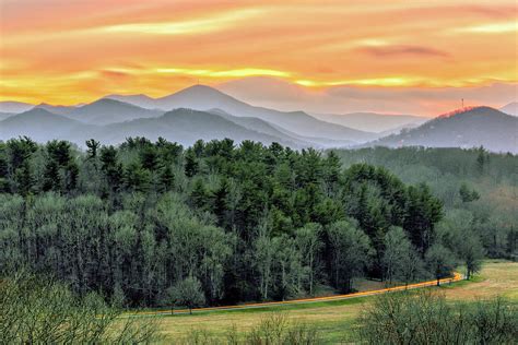 Forest Green Sunset Photograph By Andre Daugherty Fine Art America