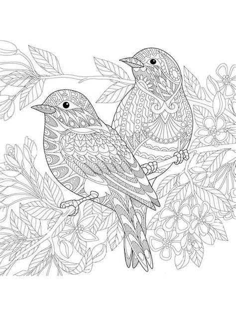 Zentangle Birds coloring pages for Adults