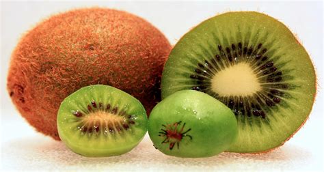 Kiwifruit The Daily Garden