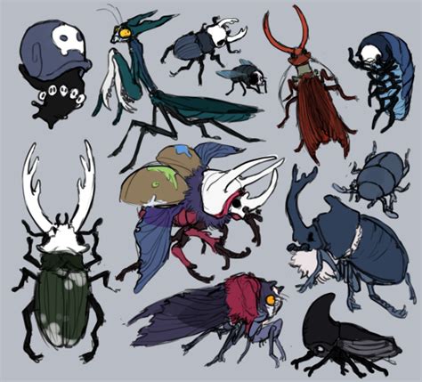 Hollow Knight Bugs As Real Bugs You Are The Angel That I Couldnt
